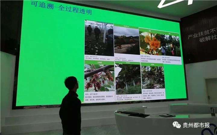  二维码|大数据与乡村振兴 | 当修文猕猴桃遇上二维码