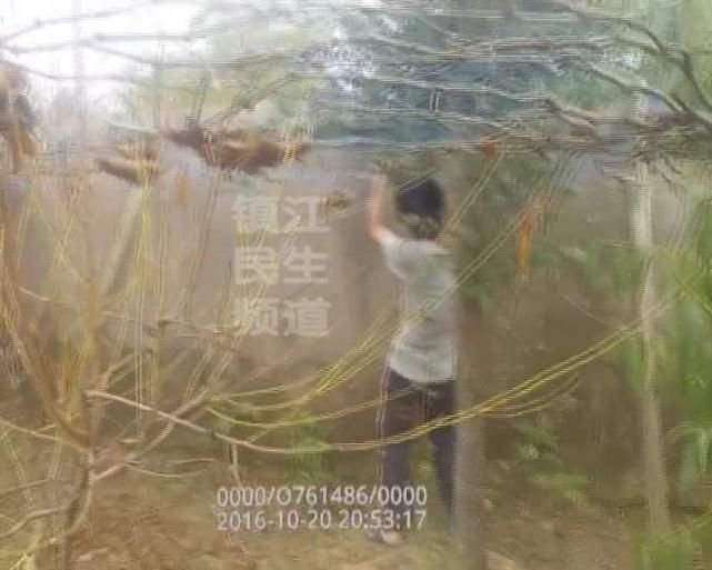 句容森林公安派出所|一下子猎杀了27个!