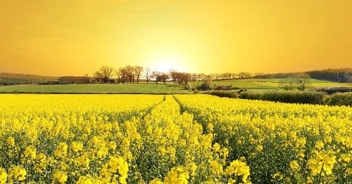  前任|在近期，相思入骨，旧爱转身破镜重圆，与前任极尽缠绵的四大星座