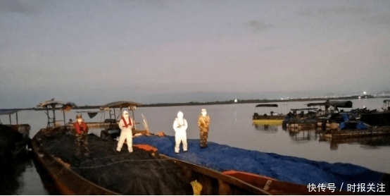 上海|上海海警遇走私船，竟被其撞船！追击中海警强行跳帮控制