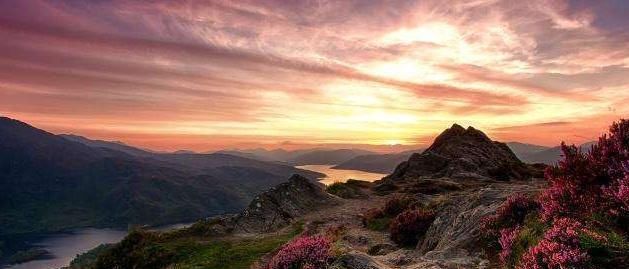 爱上你|情到深处, 爱上你是我难逃的劫数, 甘愿付出一切的星座