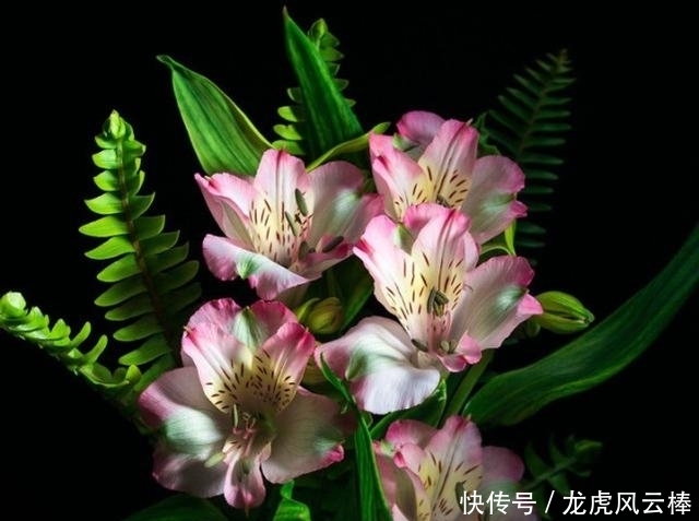 着想|“姐姐力”可打高分的星座女,性格独立,很善于为他人着想