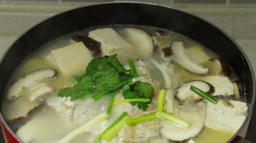  鲜香|煮鱼汤，掌握这两个要点，鱼汤奶白没腥味，鲜香营养超好喝！