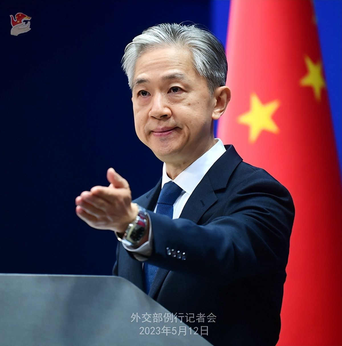 中国外交部卢沙野(中国驻法国大使馆卢沙野个人观点)