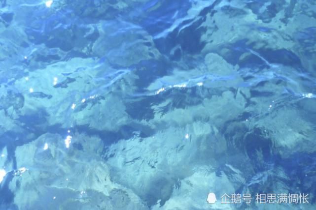 飙升|八月开始,贵人指点,财运一路飙升,财神关照的生肖