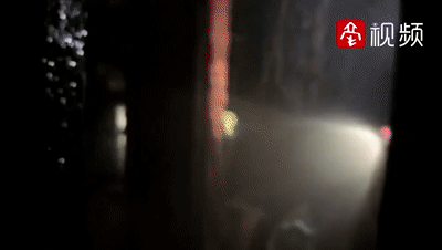  小狗|蒙城：这条小狗居然成了“纵火犯”