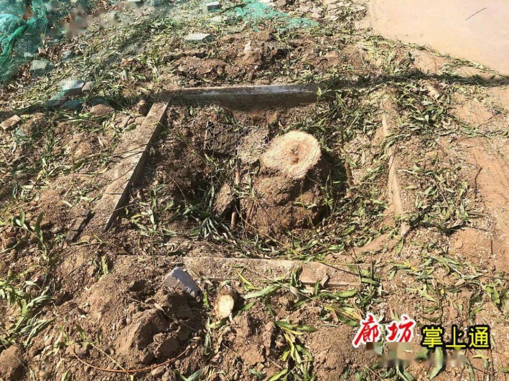 至建设路|实拍!廊坊城南这条主干道拓宽动工!