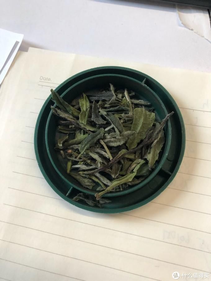  白茶|福鼎白茶入门小记