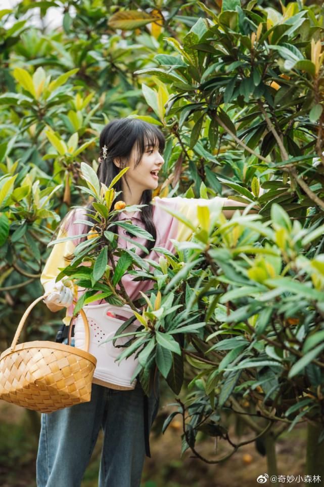  丁禹兮|王一博、郑爽、黄子韬、许魏洲、丁禹兮