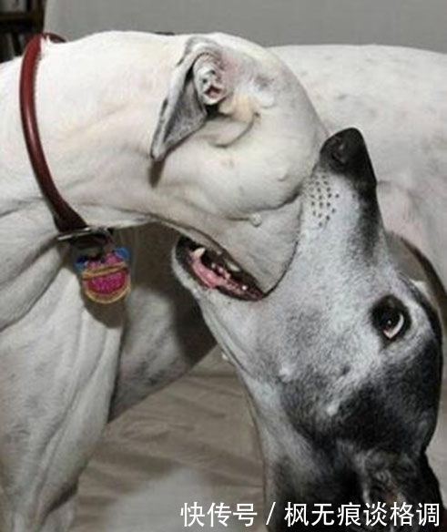 喝水|你这样喝水是不是太夸张了,不能买个水杯吗