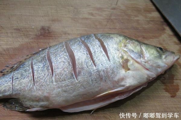 开胃|9月必吃这种鱼，肉厚刺少，开胃增食欲，不得不说，贴秋膘真香！