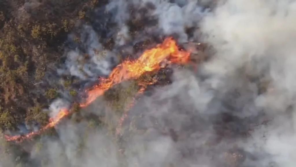  民情直通车|丢一个烟头，获刑两年半！