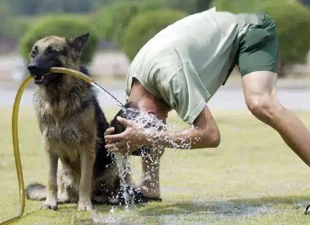  搓澡|用搓澡巾搓澡出泥很正常，但天天这么搓可不是什么好事！