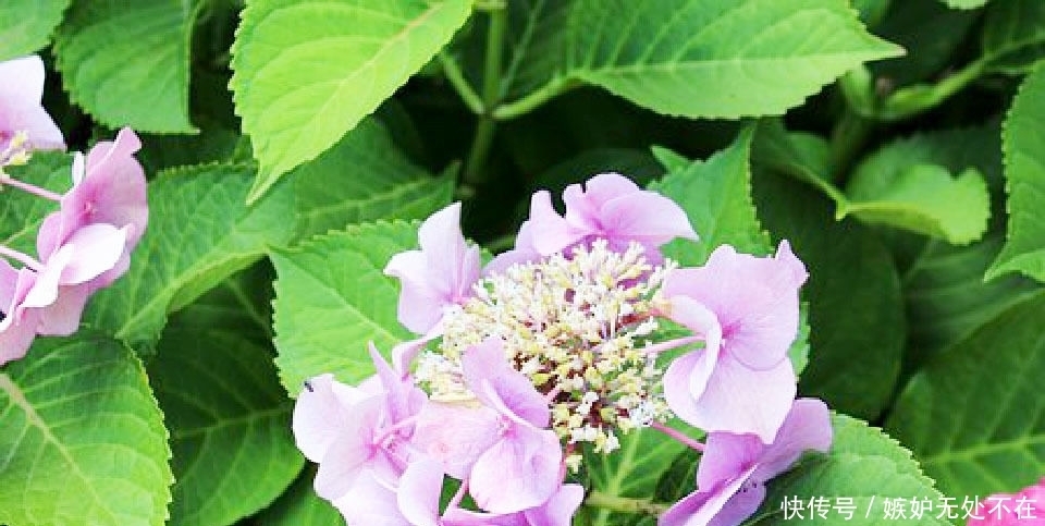 不必|富有哲理的经典句子,句句中肯,句句入心