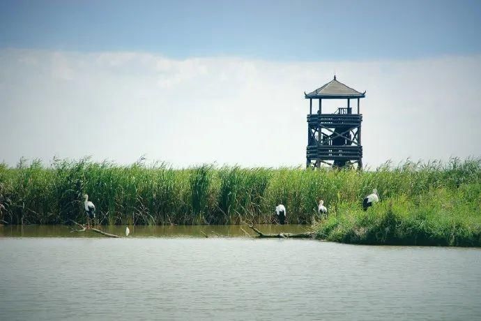  接地|“颜值高”“有内涵”“接地气”……打卡盐城，你想到了什么？