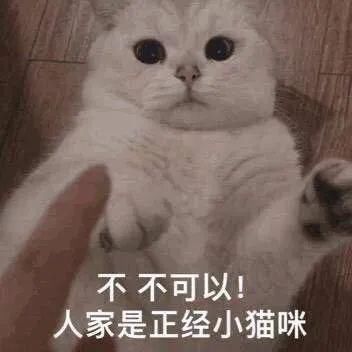  世界|啊，谁是世界上最蠢的贼？
