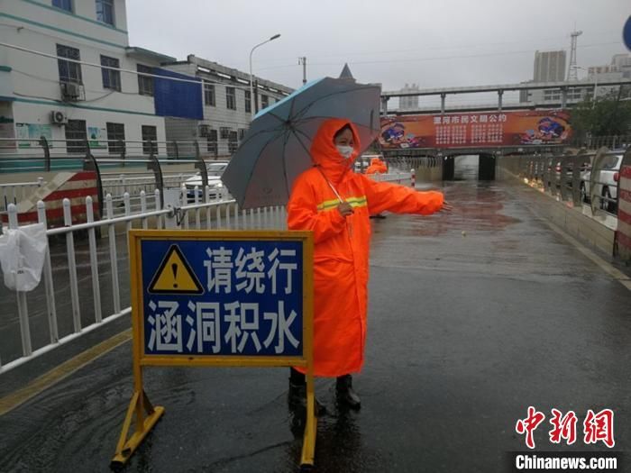 倒伏|强降雨致河南漯河城市内涝、树木倒伏严重