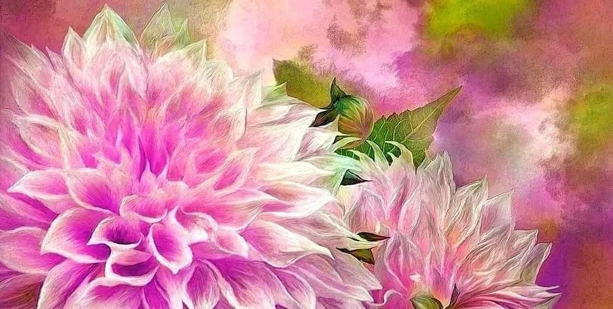 岁月|淡看花开花落，细品时光静好，尽享岁月安然