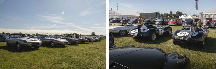 时髦|除了机车和速度,这个比赛还关注谁更时髦