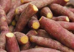 红薯|蒸红薯时,直接蒸是不对的,大厨教你正确做法,红薯香甜更软糯