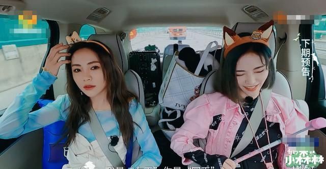 成员|下期《奇妙小森林》收视稳了,邀请THE9两位成员,爱了爱了