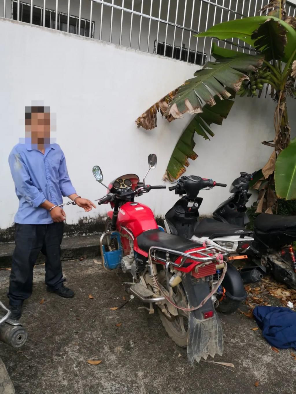  深夜|永福警方深夜出击，连环盗车狂魔落网