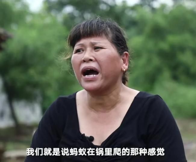 女子|看了一会宋小女的视频,被这个有情有义的女子打动了