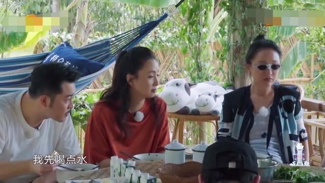  勤快|《向往4》收官将情怀做到底，长英兑现承诺回归了，陈赫变勤快了