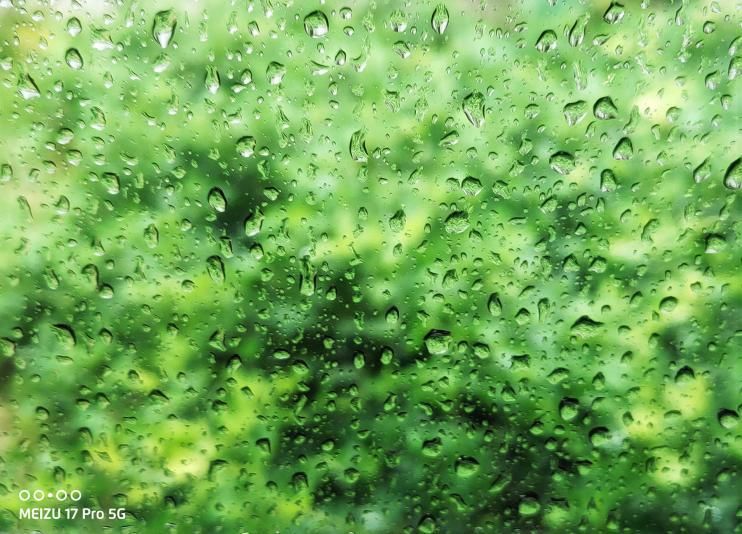  魅族|魅族17 Pro随拍分享：全场景配置下，更方便捕捉到的生活瞬间