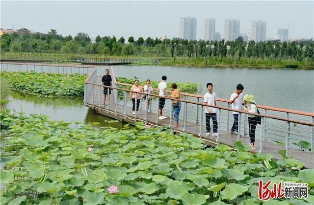  邯郸|河北邯郸：荒沙滩变身生态园