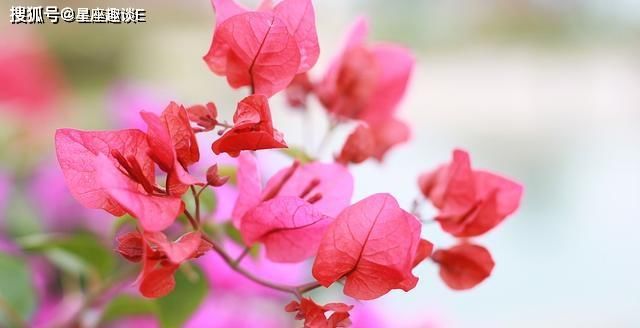  朋友|水瓶座对待周围的人足够真诚