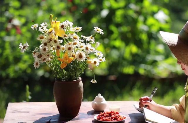  李子|她用3年时间爆改老宅，把荒地变花海：原来除了李子柒，我们还有另一种田园牧歌