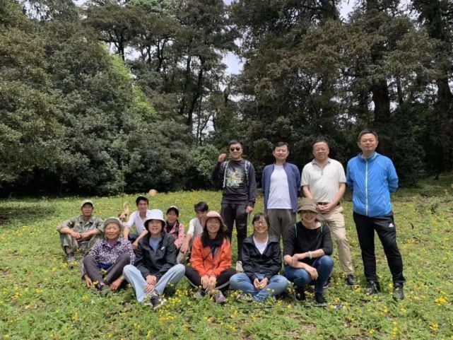 摄像头|这个古镇重修了17年:摄像头不能随便装,一切都照“古”的来