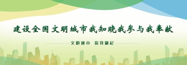 逻街|文明创建新洲在行动|阳逻街：流动的“红马甲”，靓丽的风景线