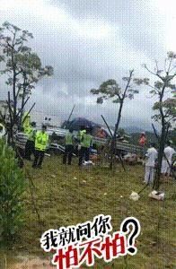  突发|突发！电白那霍发生一起车祸，两车相撞，车辆严重受损司机被困