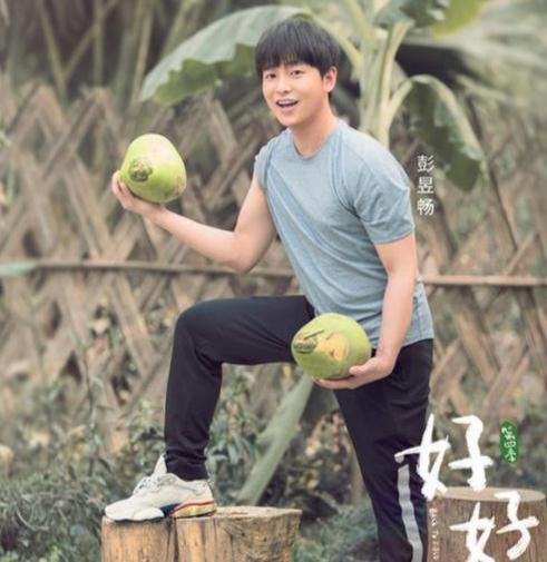  植入广告|《向往4》的植入越来越多，连黄磊都忍不了了，一句话让节目组无言