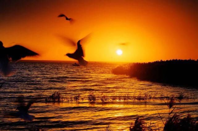 额济纳旗|【阅读】有一种心动,叫额济纳的秋天