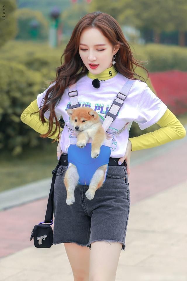  玄学|宁静拼的不是“唱跳”，而是“脑子”和“玄学”！