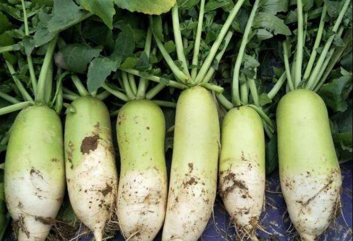  好吃|去菜市场买菜，首选这10种蔬菜，清炒炖汤都好吃，抵抗力强易存放