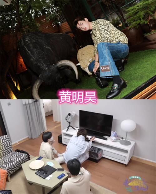  嘉宾|密逃嘉宾的家都什么样？大张伟的花哨，郭麒麟的杂乱，看到杨幂：厉害了