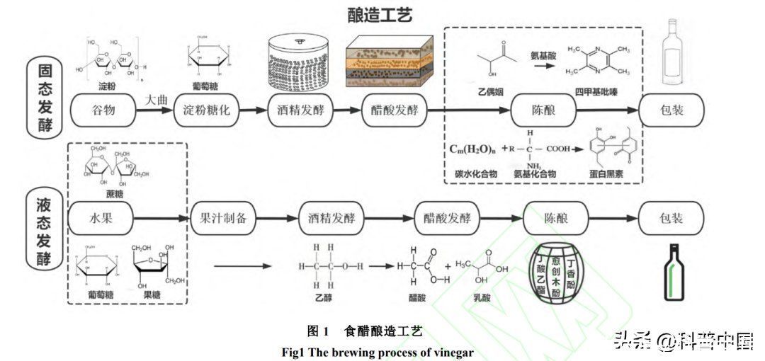 吃饭加醋和不醋哪个身体更健康(吃饭爱加醋和不加醋的人，谁更健康？真相令人意外)