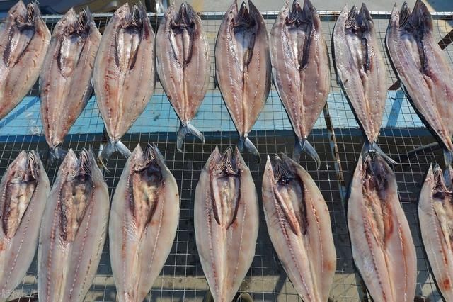 特别|这6种海鲜晒干后,比新鲜还好吃,放一年都不坏,煮汤炖肉特别香