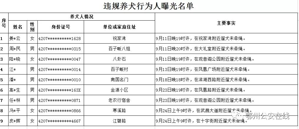 文明城市|文明城市创建：别让自己和喜爱的狗狗成为不文明......