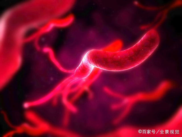  胃病|幽门螺杆菌“最怕”这5种药，医生：常喝口臭溜了，离胃病远远的