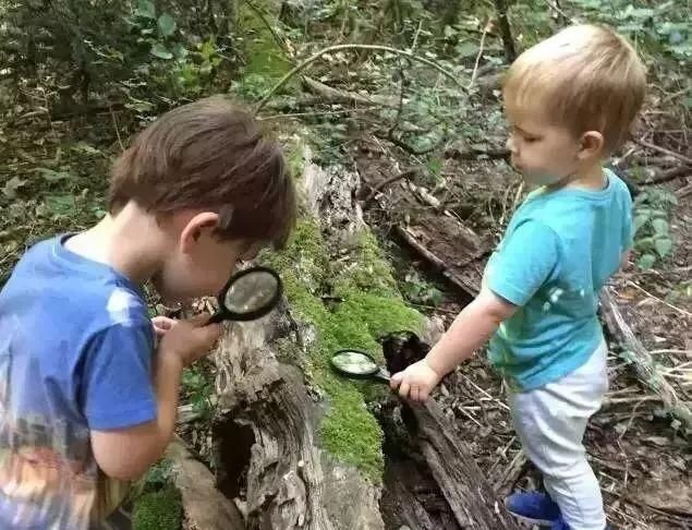  亲近|孩子专注力差? 3种方式带孩子亲近大自然, 是提高专注力最好方法