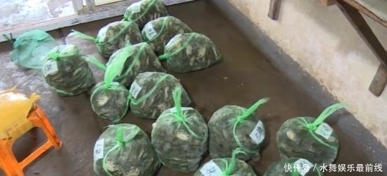  骗局|小心！代销螃蟹诈骗60多万，先发货后付款是骗局