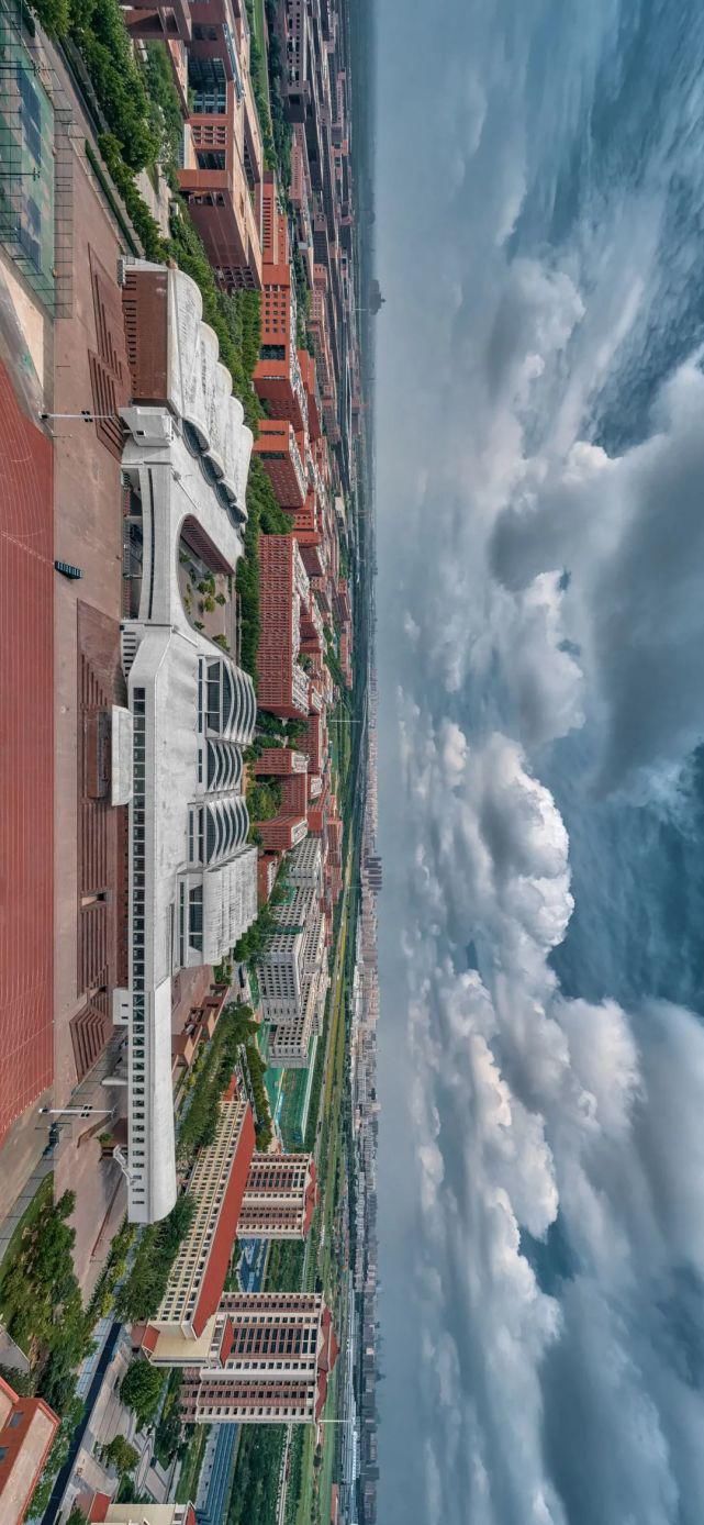 北洋园|啊,我的天大啊!