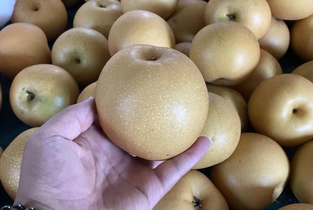 牢记|立秋后买梨,挑大的还是小的?老果农:牢记3招,到手的梨脆又甜