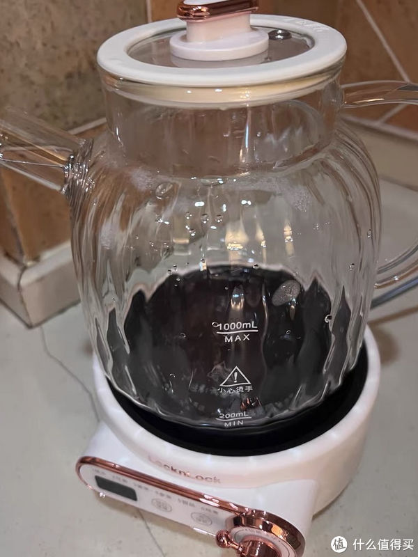 推荐一款最好的养生壶(超高颜值的养生壶，你有细心呵护吗？)