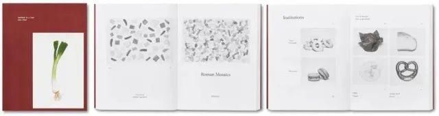  停用|摄影圈｜佳能宣布所有新产品停用两个术语 / 女摄影师凭水中拍鸟成北美打鸟第一人